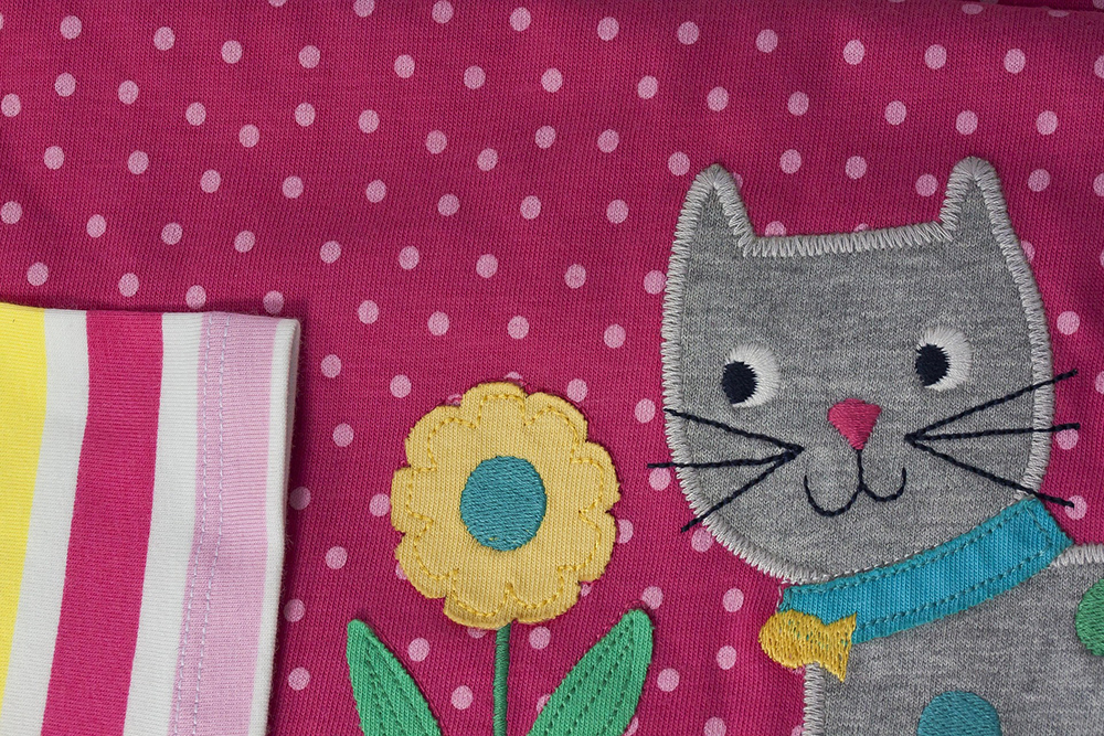 Which Toys Will Your Cat Enjoy? Choose According to Play Style